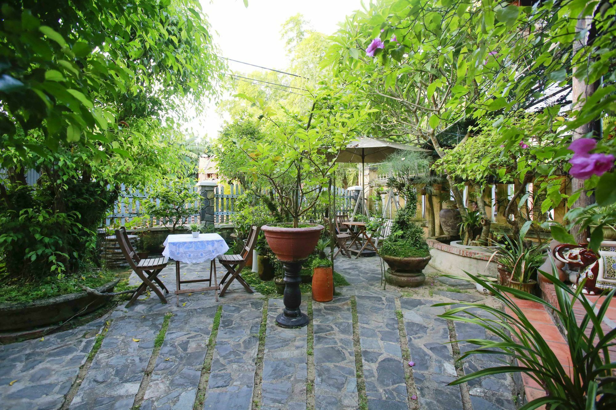 Terra Cotta Homestay Hoi An Dış mekan fotoğraf